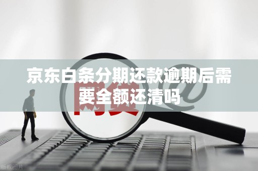 京东白条分期还款逾期后需要全额还清吗