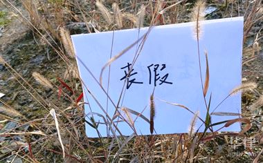 民法典岳父去世丧假几天