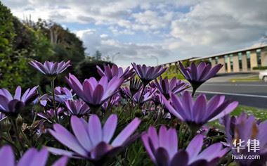 什么叫侵权行为,包括哪些