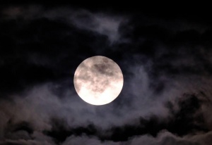 年度最大“超级月亮”现身夜空,你拍到了吗?