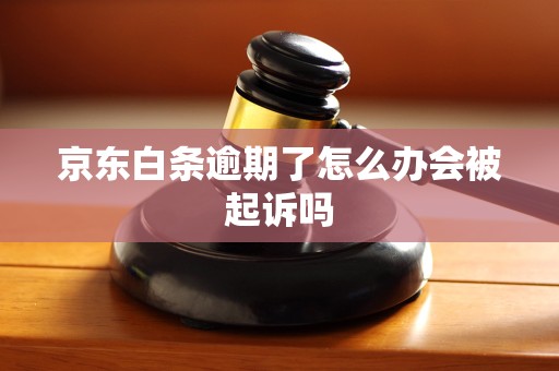 京东白条逾期了怎么办会被起诉吗