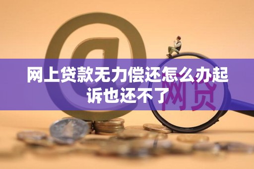 网上贷款无力偿还怎么办起诉也还不了