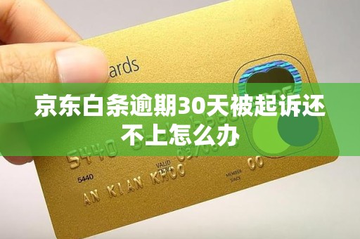 京东白条逾期30天被起诉还不上怎么办