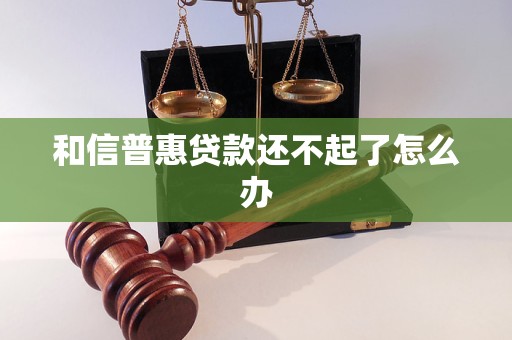 和信普惠贷款还不起了怎么办