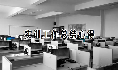实训工作总结心得