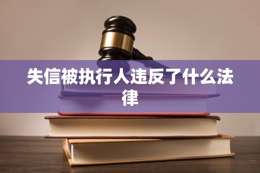 失信被执行人违反了什么法律