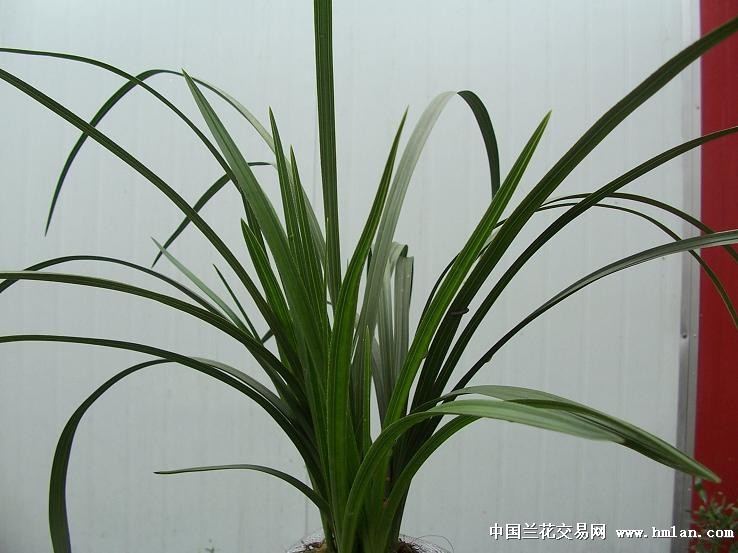 点击图片在新窗口浏览原图