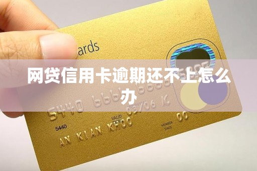 网贷信用卡逾期还不上怎么办
