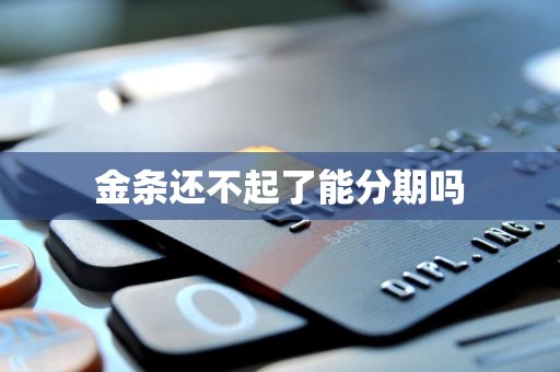 金条还不起了能分期吗