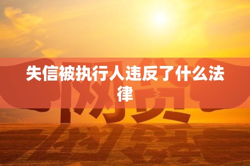 失信被执行人违反了什么法律