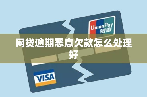 网贷逾期恶意欠款怎么处理好