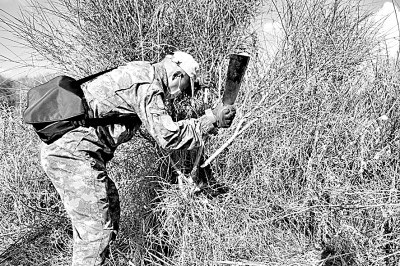 人道保护：战争中的人性光辉