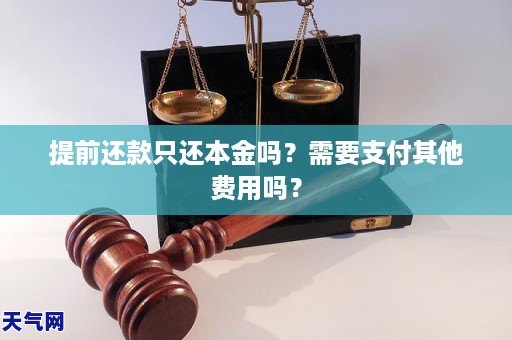 提前还款只还本金吗？需要支付其他费用吗？