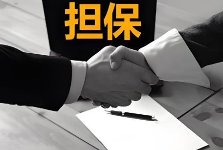 2025年中华人民共和国民法典有关担保制度的解释最新