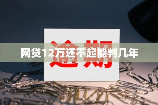 网贷12万还不起能判几年