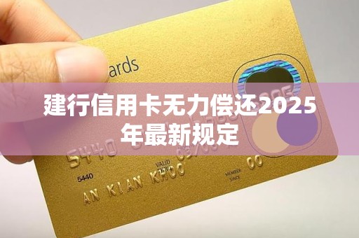 建行信用卡无力偿还2025年最新规定