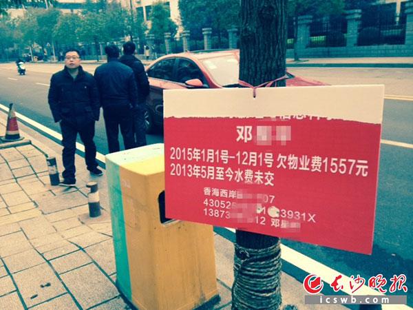 12月15日，邓先生的个人身份信息被写在一块牌子上，物业人员将其挂在桃子湖路边。市民陈先生供图