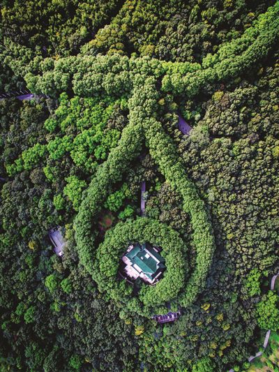 “美龄宫项链”刷爆朋友圈,但它可能不是“蒋公的礼物”