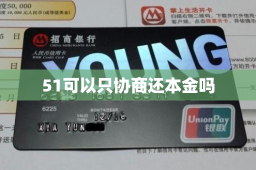 51可以只协商还本金吗