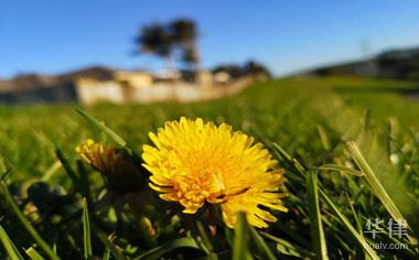 国有土地旧房翻建规定