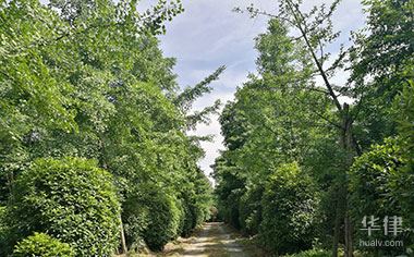 2024农民集体土地变成国有土地需要的手续、流程、材料