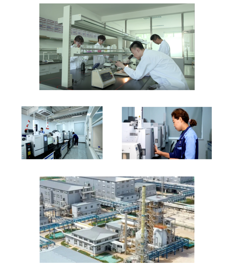 喜讯！天罡助剂获评“中国塑料助剂行业十强企业”荣誉称号