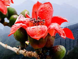 佛山市顺德区民宿管理暂行办法-顺府办发〔2024〕8号