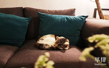 租房中介收的押金可以退吗