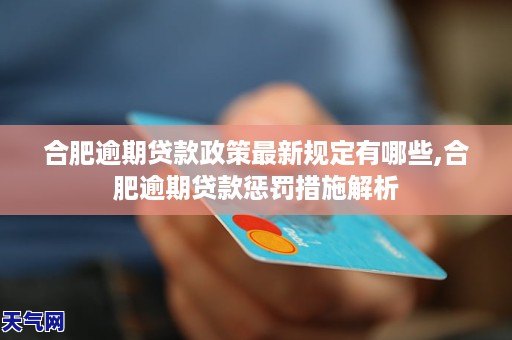 合肥逾期贷款政策最新规定有哪些,合肥逾期贷款惩罚措施解析