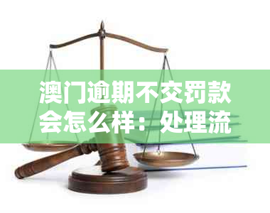 澳门逾期不交罚款会怎么样：处理流程、拘留与入境限制