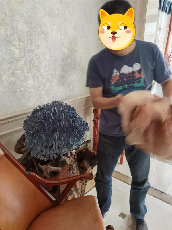 涉案百万!警方最新破获!