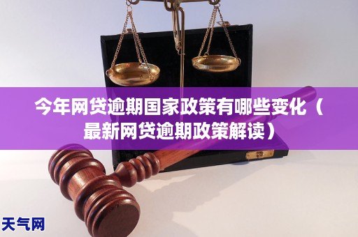 今年网贷逾期国家政策有哪些变化(最新网贷逾期政策解读)