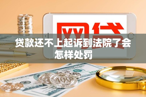 贷款还不上起诉到法院了会怎样处罚