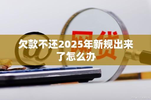 欠款不还2025年新规出来了怎么办