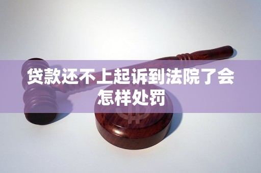 贷款还不上起诉到法院了会怎样处罚