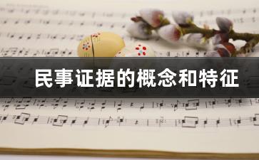 民事证据的概念和特征