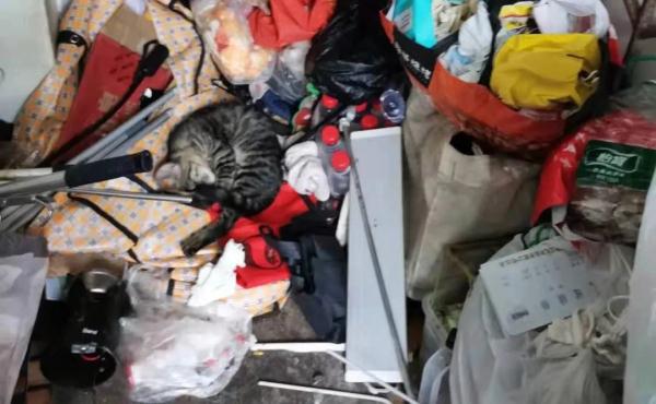 沪一小区居民楼道内做这事引来蟑螂无数，邻居：好想逃，却逃不掉...