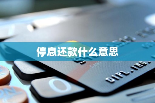 停息还款什么意思