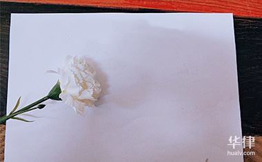 违约条款不对等是否算合同无效