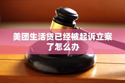 美团生活贷已经被起诉立案了怎么办