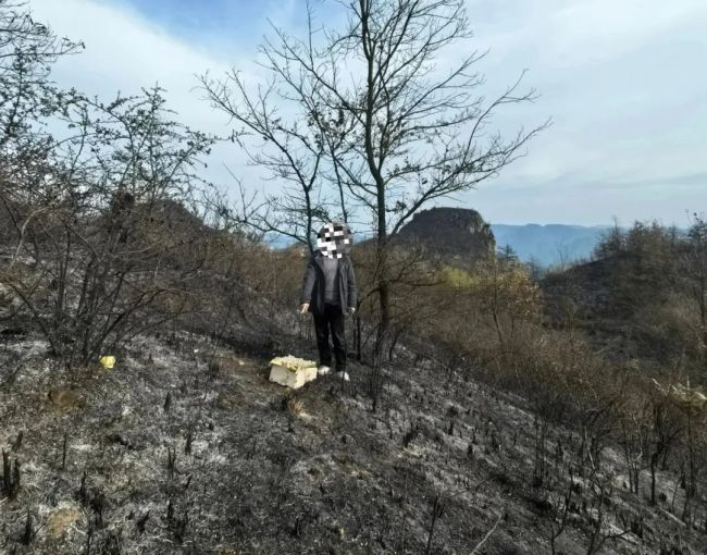 春节期间，男子祭祖时违规用火致山林失火被刑拘