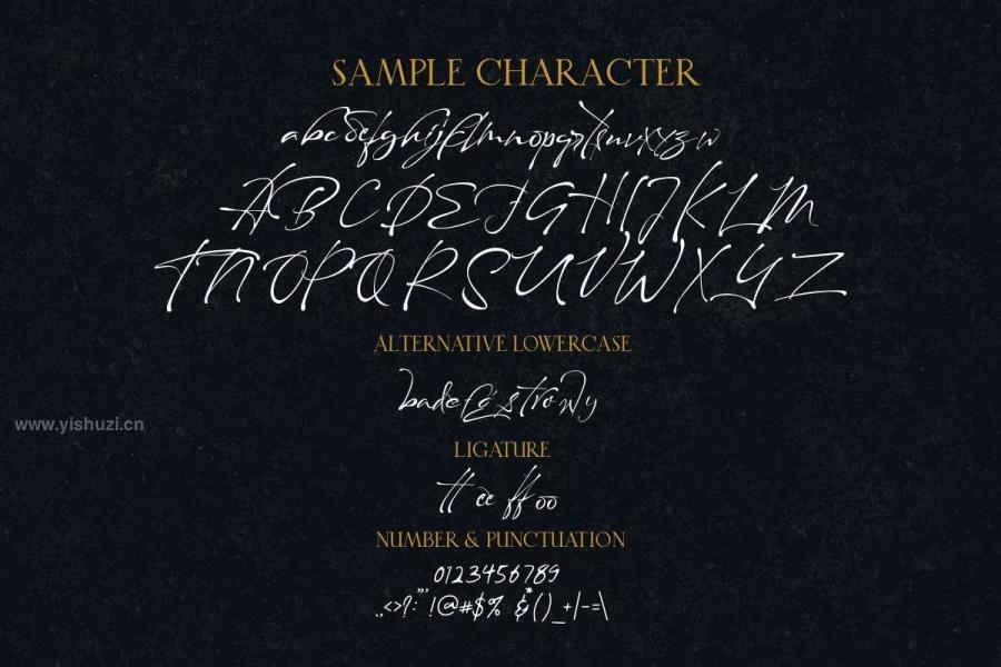 ysz-201139 Maestro-Signaturez8.jpg