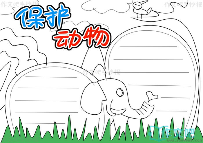 保护动物手抄报
