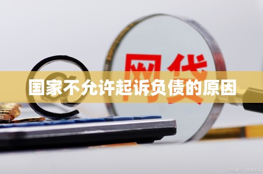 国家不允许起诉负债的原因