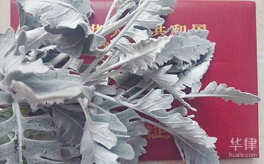 基本农田可以改一般用地吗