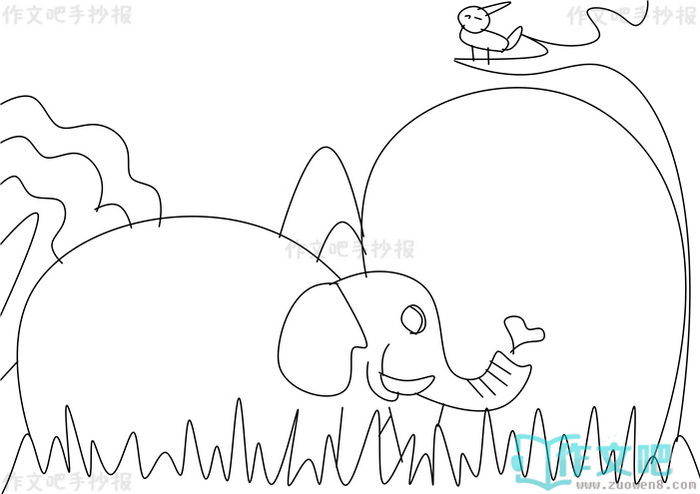 保护动物手抄报