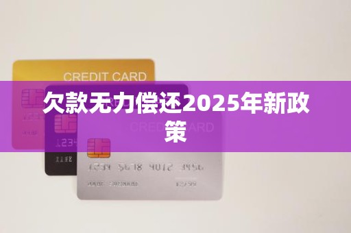 欠款无力偿还2025年新政策