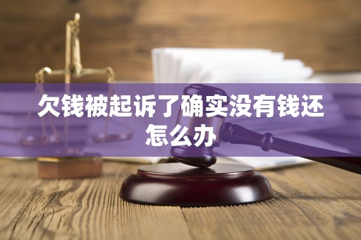 欠钱被起诉了确实没有钱还怎么办