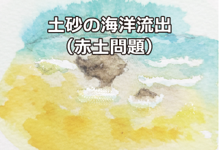 土砂の海洋流出(赤土問題)
