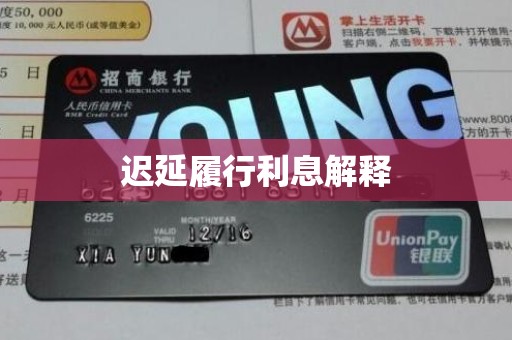 迟延履行利息解释